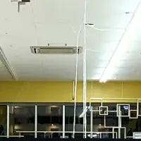 新しいペットショップが登場