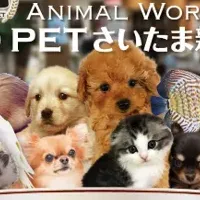 NICO PET新店舗の魅力