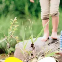 米沢市「留学先納税®」