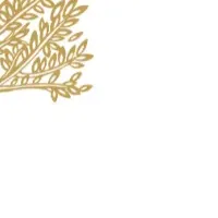 ペットの介護新サービス