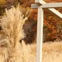 上ノ原 入会の森