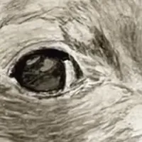 クリスマス・イブの謎