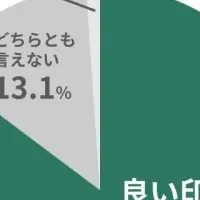 AI Utilization Impact