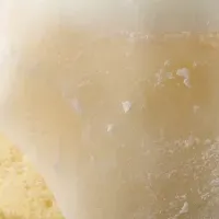 新ブランド博ったらし