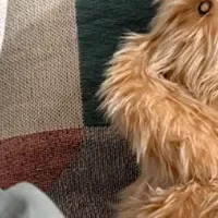 高野口パイルの魅力