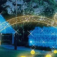 横浜イルミネーション