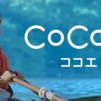 新ブランド『cocoe』登場