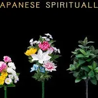 KANSHAシリーズ新登場