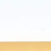 SBI生命、4年連続受賞