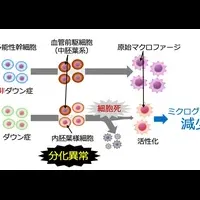 ダウン症の脳免疫細胞