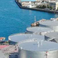 バイオ燃料で脱炭素