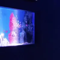 新たな水族館誕生