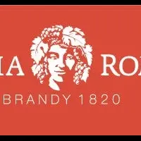 新発売のイタリアンブランデー