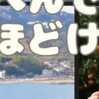 熱海の絶景とみかん狩り