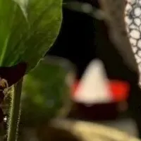 京焼・清水焼の魅力