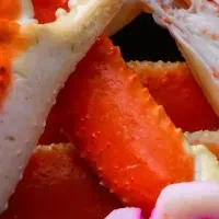 金沢のズワイ蟹プラン