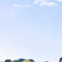 年賀状キャンペーン