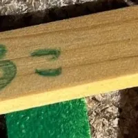 学びの森まつり