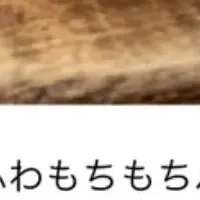 CAFE NICOLAの新サービス