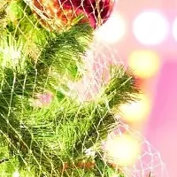 京都の新名所イベント