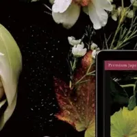 日本文化アワード