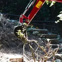 ヤンマーとアントンの未来