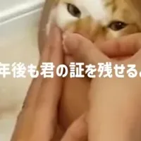 大人気！鼻紋ジュエリー