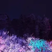 茨城「珠玉の企画」