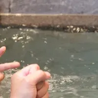 フューチャーリゾートの秋冬