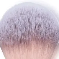 ロージーローザ新色登場