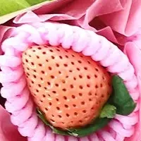 冬の極上フルーツ