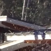 VISONのお正月イベント