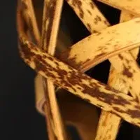 虎竹柱掛花籠 繭