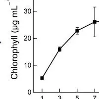 カツオ廃水の資源化