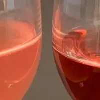 ワインろ過機のレンタル開始