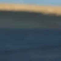 冬の浜焼き体験