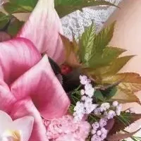 堀田真由が初表紙