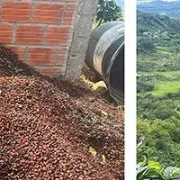 サントリーとコンサベーションの挑戦