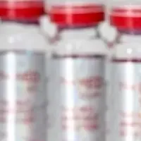 REDショット導入支援