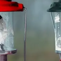 コールマン新ランタン