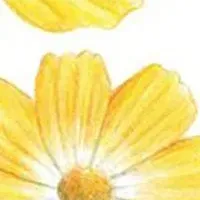 花ぬり絵最新作