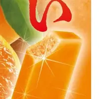 贅沢なガリガリ君