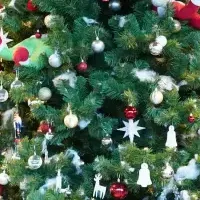 箱根のクリスマス