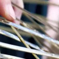 高知特産の虎竹