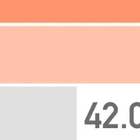 教育環境の選択肢