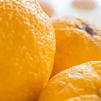 極楽湯の冬至ゆず湯