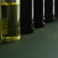 徳島の伝統技術体験