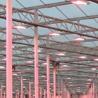 クニエダの新たな挑戦