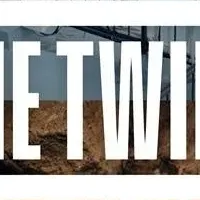 映像実験プラットフォーム『THE TWINS』