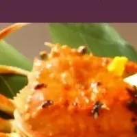 坂井市美食キャンペーン